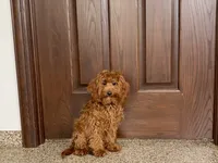 processed/468108b0-b5ce-4c2b-b609-98d2598c0f8a/listing/11969711-9671-4f74-9d9c-5df9b2b1b158/5979a89e-6318-4ca0-8ab1-4b23e327360c