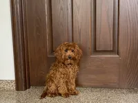 processed/468108b0-b5ce-4c2b-b609-98d2598c0f8a/listing/11969711-9671-4f74-9d9c-5df9b2b1b158/5a762ee9-288f-4037-9722-faa7f1b399ad