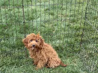 processed/468108b0-b5ce-4c2b-b609-98d2598c0f8a/listing/11969711-9671-4f74-9d9c-5df9b2b1b158/c53dda29-4c6e-43cb-ab1b-2fb3bc71fb45