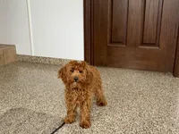 processed/468108b0-b5ce-4c2b-b609-98d2598c0f8a/listing/11969711-9671-4f74-9d9c-5df9b2b1b158/fe1b0510-6640-4731-aaf9-4248ad22d97c