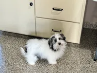 processed/468108b0-b5ce-4c2b-b609-98d2598c0f8a/listing/1726f91c-414e-4c9c-bb48-6ab4e5a702e5/2948fd48-ff4d-4f6e-92ee-af5c79753fae