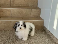 processed/468108b0-b5ce-4c2b-b609-98d2598c0f8a/listing/1726f91c-414e-4c9c-bb48-6ab4e5a702e5/42ce5d13-3525-4935-8230-0eb08fb27b91