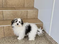 processed/468108b0-b5ce-4c2b-b609-98d2598c0f8a/listing/1726f91c-414e-4c9c-bb48-6ab4e5a702e5/588b8a94-556a-4e37-a51e-dc4627637c3b