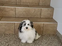 processed/468108b0-b5ce-4c2b-b609-98d2598c0f8a/listing/1726f91c-414e-4c9c-bb48-6ab4e5a702e5/5fcb644f-d0fc-4df5-8a56-5a3b7a548f18