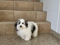 processed/468108b0-b5ce-4c2b-b609-98d2598c0f8a/listing/1726f91c-414e-4c9c-bb48-6ab4e5a702e5/65b3556d-87a7-4904-bab0-81fd58a048ed