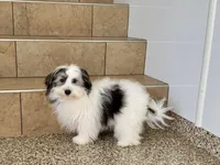 processed/468108b0-b5ce-4c2b-b609-98d2598c0f8a/listing/1726f91c-414e-4c9c-bb48-6ab4e5a702e5/a8ca7e99-03eb-419b-bde9-0d90924c8c20