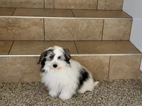 processed/468108b0-b5ce-4c2b-b609-98d2598c0f8a/listing/1726f91c-414e-4c9c-bb48-6ab4e5a702e5/cd3ed9c5-ad17-47ed-911b-ef17ece42b66