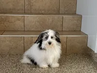 processed/468108b0-b5ce-4c2b-b609-98d2598c0f8a/listing/1726f91c-414e-4c9c-bb48-6ab4e5a702e5/e19c78d6-31d3-4e71-ac6e-46ba4f9974b9