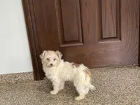 processed/468108b0-b5ce-4c2b-b609-98d2598c0f8a/listing/1bc1ba08-421f-4a69-86cf-83e1dd5a5afc/074f73d2-8242-4335-8fab-dd1f86e04e7a