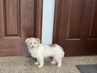 processed/468108b0-b5ce-4c2b-b609-98d2598c0f8a/listing/1bc1ba08-421f-4a69-86cf-83e1dd5a5afc/babc2df5-f90f-4d2f-9a3f-aa1ff637c855