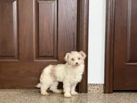 processed/468108b0-b5ce-4c2b-b609-98d2598c0f8a/listing/1bc1ba08-421f-4a69-86cf-83e1dd5a5afc/e7da90c7-af7a-461d-8ed7-f8169d37f6b2