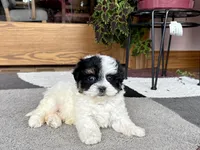 processed/468108b0-b5ce-4c2b-b609-98d2598c0f8a/listing/2657f58f-e33a-4037-86f6-11dd78ada12a/1e4dc5a5-b937-40d8-83f3-0bd92ea5c32a