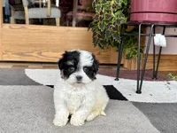 processed/468108b0-b5ce-4c2b-b609-98d2598c0f8a/listing/2657f58f-e33a-4037-86f6-11dd78ada12a/3470a883-cde3-4d9b-a4cf-7cdd4f30e78c