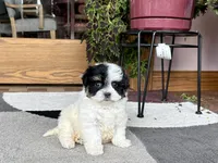 processed/468108b0-b5ce-4c2b-b609-98d2598c0f8a/listing/2657f58f-e33a-4037-86f6-11dd78ada12a/49264a87-9295-4966-849e-f9cb160e7d63