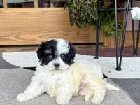 processed/468108b0-b5ce-4c2b-b609-98d2598c0f8a/listing/2657f58f-e33a-4037-86f6-11dd78ada12a/5fb0d7d3-3ce1-440b-b968-e962f77f2711