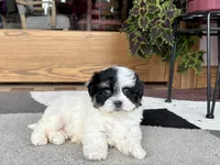 processed/468108b0-b5ce-4c2b-b609-98d2598c0f8a/listing/2657f58f-e33a-4037-86f6-11dd78ada12a/8d5da512-34de-45c2-9e51-0f375acdc39d