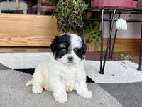 processed/468108b0-b5ce-4c2b-b609-98d2598c0f8a/listing/2657f58f-e33a-4037-86f6-11dd78ada12a/9c9f6244-292d-47c7-b06d-ac84f56c96fe