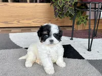 processed/468108b0-b5ce-4c2b-b609-98d2598c0f8a/listing/2657f58f-e33a-4037-86f6-11dd78ada12a/ab85cc57-d95a-43ed-bd1a-d6a5998d735e