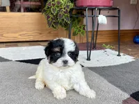 processed/468108b0-b5ce-4c2b-b609-98d2598c0f8a/listing/2657f58f-e33a-4037-86f6-11dd78ada12a/af0a481e-f284-434e-80b7-c9e04db58414