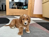 processed/468108b0-b5ce-4c2b-b609-98d2598c0f8a/listing/3300095d-274a-465b-8ca3-6434d4b5c725/09780991-e42a-46a7-bbff-988a329f95f2