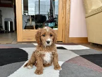 processed/468108b0-b5ce-4c2b-b609-98d2598c0f8a/listing/3300095d-274a-465b-8ca3-6434d4b5c725/499a59b8-d2d4-4c5c-bb68-464583195e12