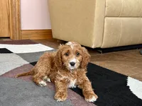 processed/468108b0-b5ce-4c2b-b609-98d2598c0f8a/listing/3300095d-274a-465b-8ca3-6434d4b5c725/661a56b7-3527-4d9a-9e9d-2ddfa0098e0b