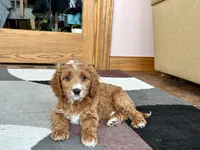 processed/468108b0-b5ce-4c2b-b609-98d2598c0f8a/listing/3300095d-274a-465b-8ca3-6434d4b5c725/887bf1c0-ee42-489c-99d6-ef078b381acc