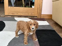 processed/468108b0-b5ce-4c2b-b609-98d2598c0f8a/listing/3300095d-274a-465b-8ca3-6434d4b5c725/9c42b05e-f5d1-48f9-bea4-f02b72cdc651