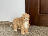 processed/468108b0-b5ce-4c2b-b609-98d2598c0f8a/listing/42a84038-1839-4906-b6ba-4d8588bc04e8/0c071a7d-d0b3-4722-bb78-2353bf68c7fb