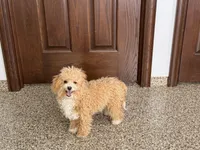 processed/468108b0-b5ce-4c2b-b609-98d2598c0f8a/listing/42a84038-1839-4906-b6ba-4d8588bc04e8/157c8b3f-46e1-4674-ba03-94b1243b5f89