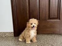 processed/468108b0-b5ce-4c2b-b609-98d2598c0f8a/listing/42a84038-1839-4906-b6ba-4d8588bc04e8/323782be-7330-404d-9e39-985b454db6b8