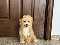 processed/468108b0-b5ce-4c2b-b609-98d2598c0f8a/listing/42a84038-1839-4906-b6ba-4d8588bc04e8/37a50447-fd75-46f7-8739-8e123248c2ad