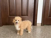 processed/468108b0-b5ce-4c2b-b609-98d2598c0f8a/listing/42a84038-1839-4906-b6ba-4d8588bc04e8/6538fd3d-b027-4977-a4dd-483df2554347