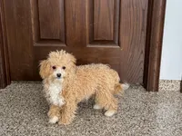 processed/468108b0-b5ce-4c2b-b609-98d2598c0f8a/listing/42a84038-1839-4906-b6ba-4d8588bc04e8/8829cf2d-0348-49ea-bbde-9734f915139b