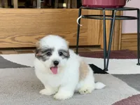 processed/468108b0-b5ce-4c2b-b609-98d2598c0f8a/listing/4496d88b-5e1e-40fe-9fe4-e43c8fda8768/132ec0f5-1599-45c9-b550-9fc3239e4842