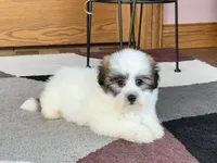 processed/468108b0-b5ce-4c2b-b609-98d2598c0f8a/listing/4496d88b-5e1e-40fe-9fe4-e43c8fda8768/29f26fbf-6067-4002-ad0a-6574eebb3aad