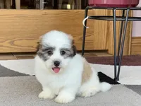 processed/468108b0-b5ce-4c2b-b609-98d2598c0f8a/listing/4496d88b-5e1e-40fe-9fe4-e43c8fda8768/5874491a-d262-4faf-8d11-583e78e6bac6