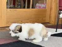 processed/468108b0-b5ce-4c2b-b609-98d2598c0f8a/listing/4496d88b-5e1e-40fe-9fe4-e43c8fda8768/68c0501b-2e7e-4355-9ac8-232f5d713c21