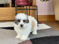 processed/468108b0-b5ce-4c2b-b609-98d2598c0f8a/listing/4496d88b-5e1e-40fe-9fe4-e43c8fda8768/712914e4-9e50-4f13-9baf-6a003ca684e0