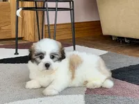 processed/468108b0-b5ce-4c2b-b609-98d2598c0f8a/listing/4496d88b-5e1e-40fe-9fe4-e43c8fda8768/8ed0b7a2-5c14-4d42-8549-af346600444c