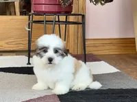 processed/468108b0-b5ce-4c2b-b609-98d2598c0f8a/listing/4496d88b-5e1e-40fe-9fe4-e43c8fda8768/99b0999b-58fe-4558-a3a1-33abee60d8bf