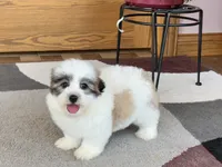 processed/468108b0-b5ce-4c2b-b609-98d2598c0f8a/listing/4496d88b-5e1e-40fe-9fe4-e43c8fda8768/b741adee-021c-4a92-8f68-1f674d5d3038