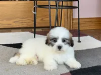 processed/468108b0-b5ce-4c2b-b609-98d2598c0f8a/listing/4496d88b-5e1e-40fe-9fe4-e43c8fda8768/bfeb3363-dcac-4e8d-9942-7b35ea552a46