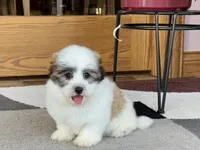 processed/468108b0-b5ce-4c2b-b609-98d2598c0f8a/listing/4496d88b-5e1e-40fe-9fe4-e43c8fda8768/dd8b37f8-6cb0-48f3-b432-c356f7cd5f87