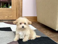 processed/468108b0-b5ce-4c2b-b609-98d2598c0f8a/listing/44b9c5cc-1cfe-4f87-9a33-bbb159bb5391/271ff952-e712-4c7b-8aba-a535cd400776