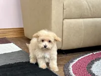 processed/468108b0-b5ce-4c2b-b609-98d2598c0f8a/listing/44b9c5cc-1cfe-4f87-9a33-bbb159bb5391/bdde413a-b309-4bb5-bbbd-c5bbdab5411a