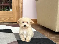 processed/468108b0-b5ce-4c2b-b609-98d2598c0f8a/listing/44b9c5cc-1cfe-4f87-9a33-bbb159bb5391/c6cf4457-3adf-4870-8b5f-d793825b8a29