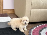 processed/468108b0-b5ce-4c2b-b609-98d2598c0f8a/listing/44b9c5cc-1cfe-4f87-9a33-bbb159bb5391/ce93c025-e154-4004-84aa-c54c87547c20