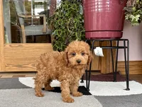 processed/468108b0-b5ce-4c2b-b609-98d2598c0f8a/listing/4952f528-55b0-4b1e-a980-e07d715a0441/5264cc4f-cc50-4d67-9fbb-97bd9561071a