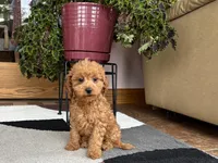 processed/468108b0-b5ce-4c2b-b609-98d2598c0f8a/listing/4952f528-55b0-4b1e-a980-e07d715a0441/85f17b54-2c6c-4981-8e85-5958928cad2e